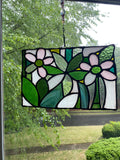 Garden in the Light