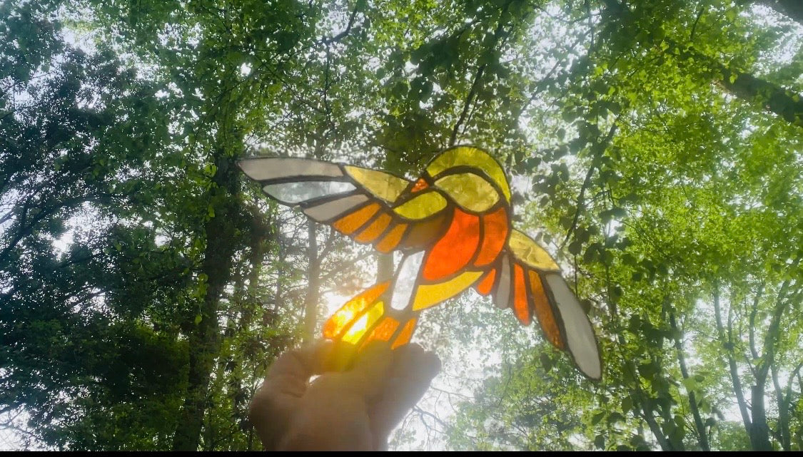 Sunlit Grace