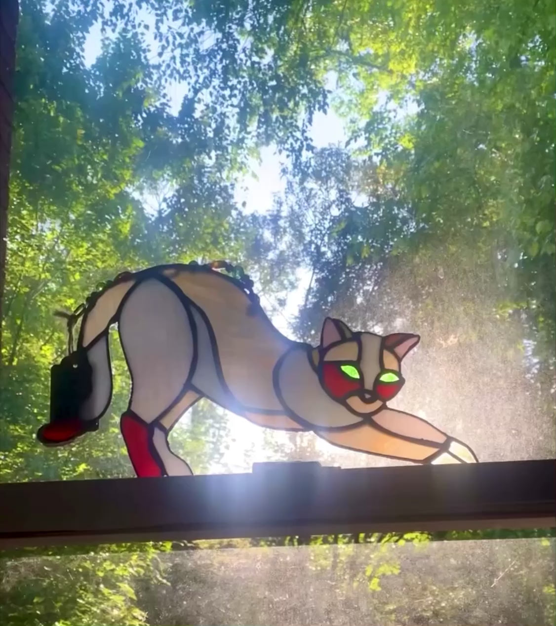 Strecthing Cat